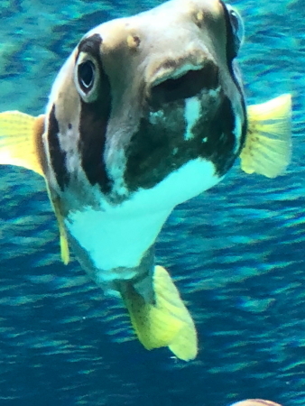 00003468.JPG