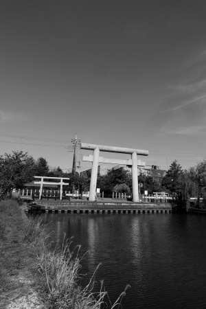 00010481.JPG