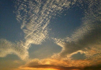 200710221710000.jpg