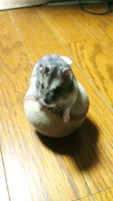 2010040801590000.jpg