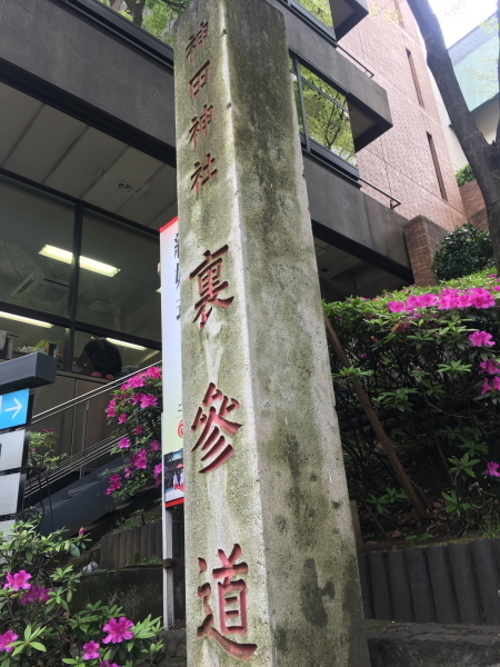 DPP_25169.JPG