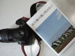 DPP_5248.JPG