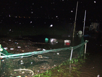 DSCF1007.jpg