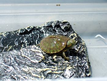 DSCF24541.jpg