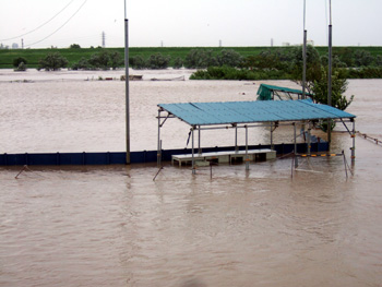 DSCF2514.jpg