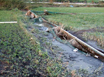 DSCF2531.jpg