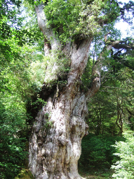 DSCF5054.jpg