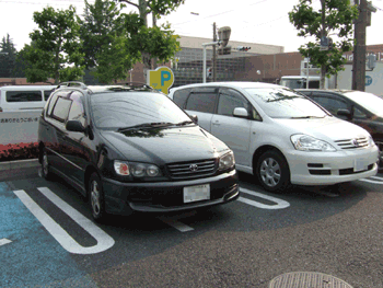 DSCF9959.gif