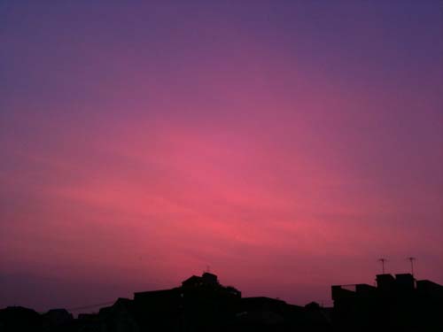 IMG_0085.jpg