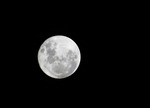 IMG_1125.JPG