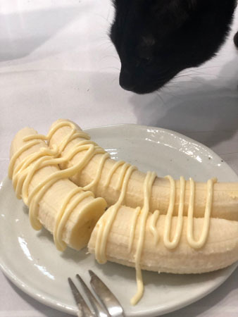 IMG_1727.jpeg
