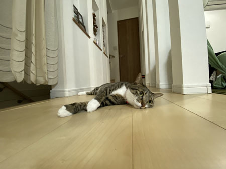 IMG_2319.jpeg