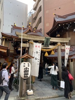 IMG_2590.jpeg