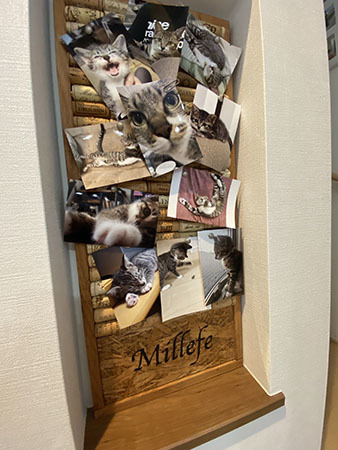 IMG_3157.jpeg