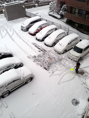 IMG_3529.jpg