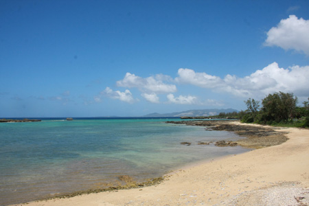 IMG_5651.JPG
