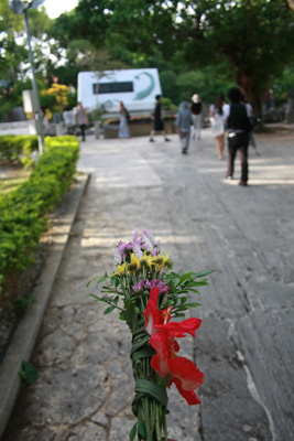 IMG_5672.JPG