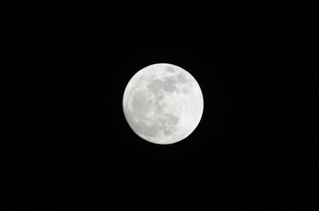 IMG_6528.JPG
