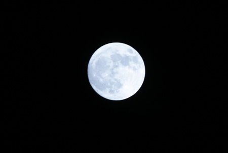 IMG_6555.JPG