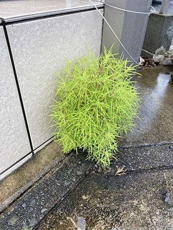 IMG_6632.jpeg