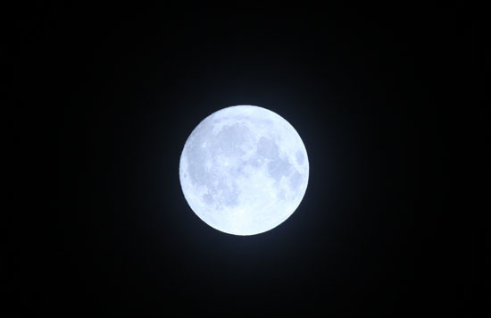 IMG_93981.jpg