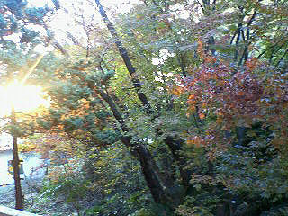 NEC_0108.jpg
