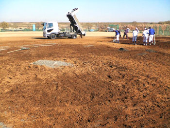 NEC_0165.jpg
