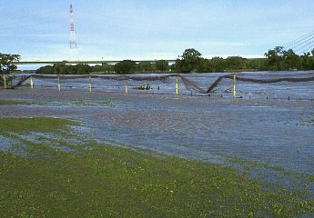NEC_0388.jpg
