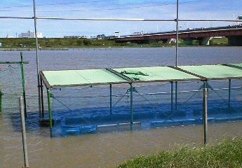 NEC_0392.jpg