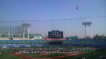 P1000073.jpg