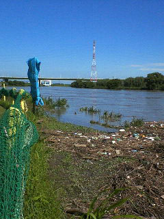 ground2.jpg