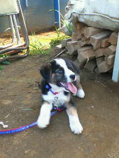 image/hirosh-2005-09-13T22:07:25-1.jpg