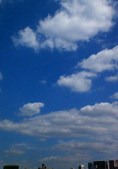 200609241158000.jpg