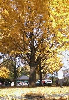 200611292040001.jpg