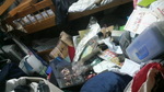 P1000067.jpg