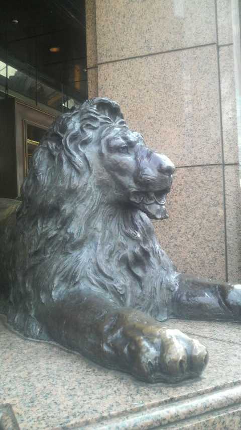 P1000076.jpg