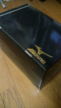 2008112119020000.jpg