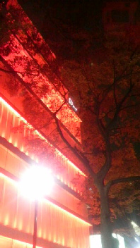 P1000527.jpg