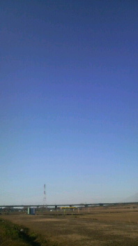 P1000591.jpg