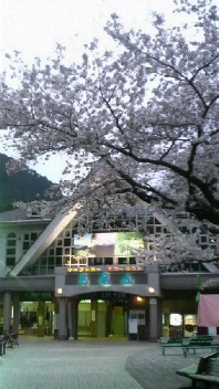 2010041119390000.jpg