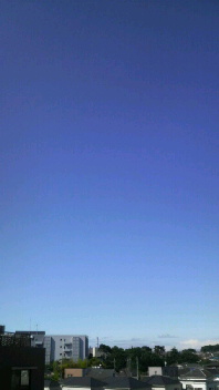 2010052808130000.jpg