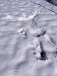 image-20140209175558.png
